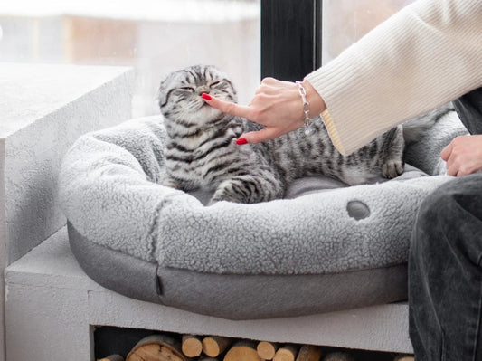 BAGEL FUR Katzenbett aus Kunstfell / Möbelstoff HARLEY & CHO