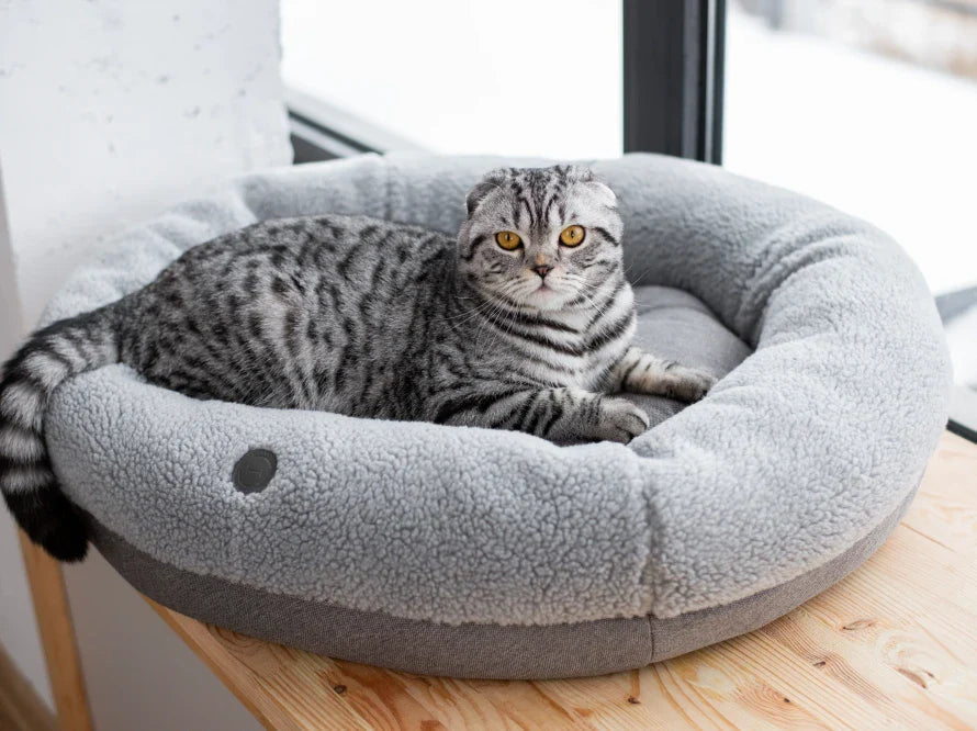 BAGEL FUR Katzenbett aus Kunstfell / Möbelstoff HARLEY & CHO