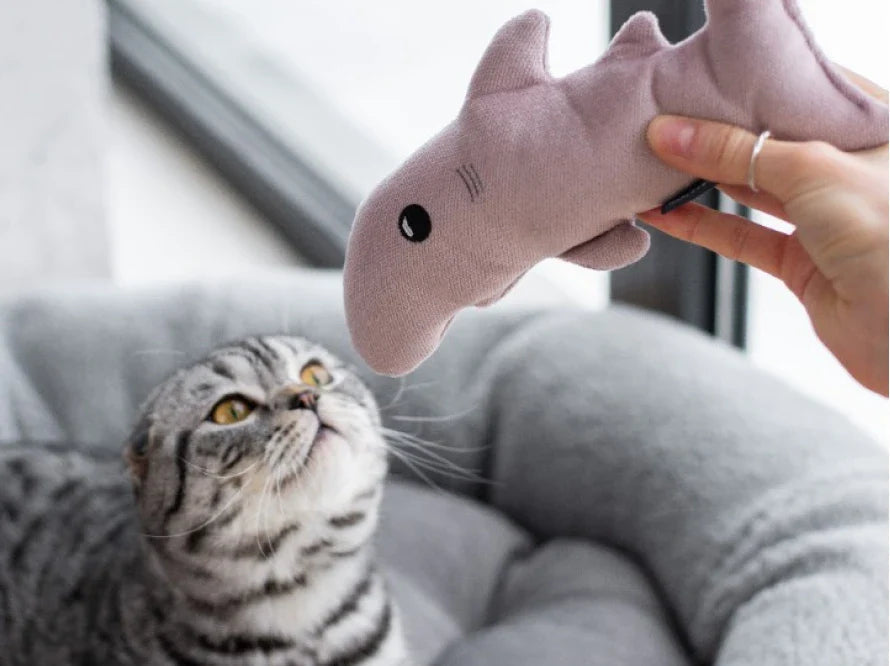 BABY SHARK Katzenspielzeug / interaktives Plüschtier / sanftes Rascheln HARLEY & CHO