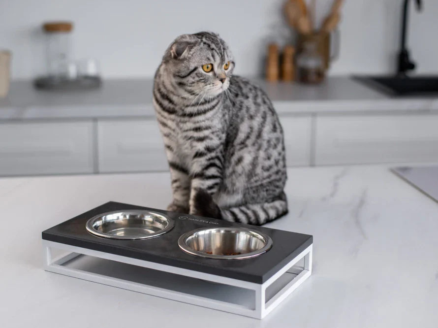 LUNCH BAR Katzennapf / Kunststein Napfständer mit zwei Edelstahlnäpfen für Katzen / weißer Metallrahmen HARLEY & CHO
