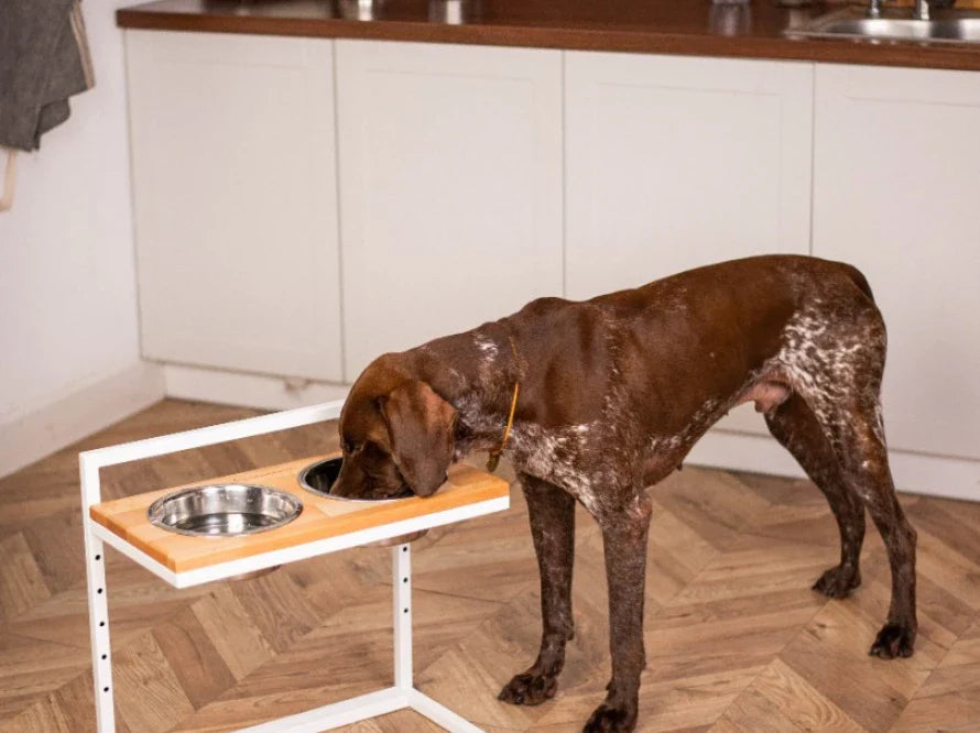 Höhenverstellbaren Hundenapf LIFT / Holz Napfständer mit zwei Edelstahlnäpfen für Hunde / weißer Metallrahmen HARLEY & CHO