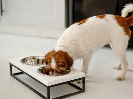 LUNCH BAR Hundenapf / Holz Napfständer mit zwei Edelstahlnäpfen für kleine Hunde / schwarzer Metallrahmen HARLEY & CHO