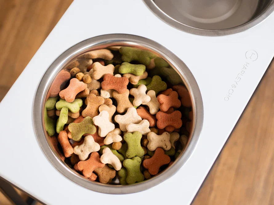 DINNER Hundenapf / Kunststein Napfständer mit zwei Edelstahlnäpfen für große und riesige Hunde / schwarzer Metallrahmen HARLEY & CHO