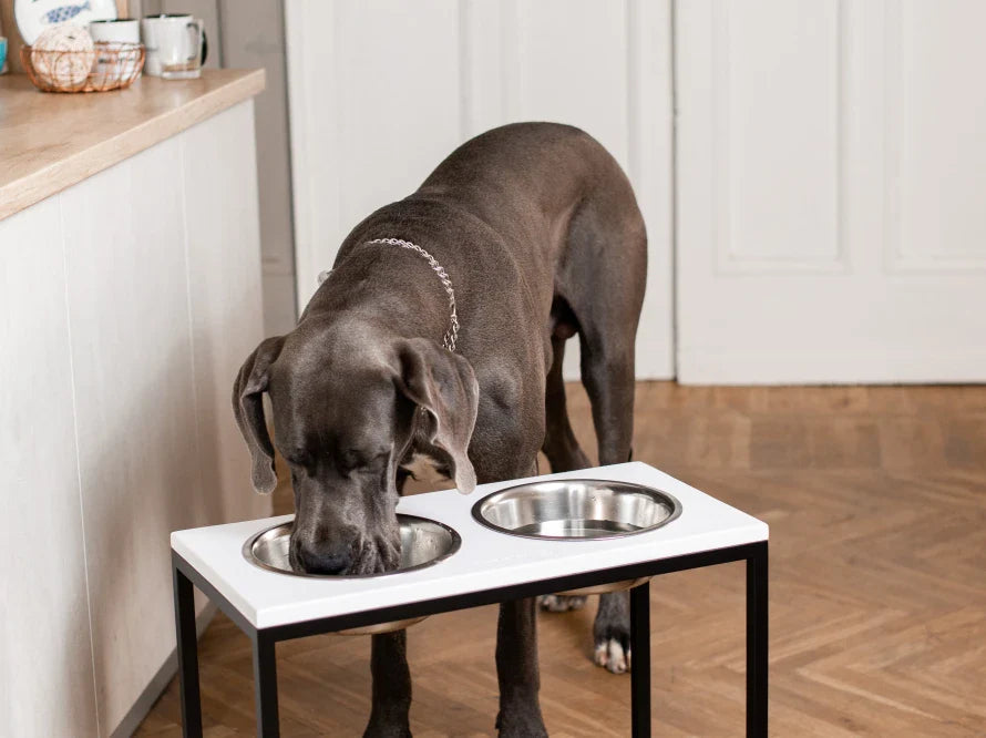DINNER Hundenapf / Holz Napfständer mit zwei Edelstahlnäpfen für große und riesige Hunde / schwarzer Metallrahmen HARLEY & CHO