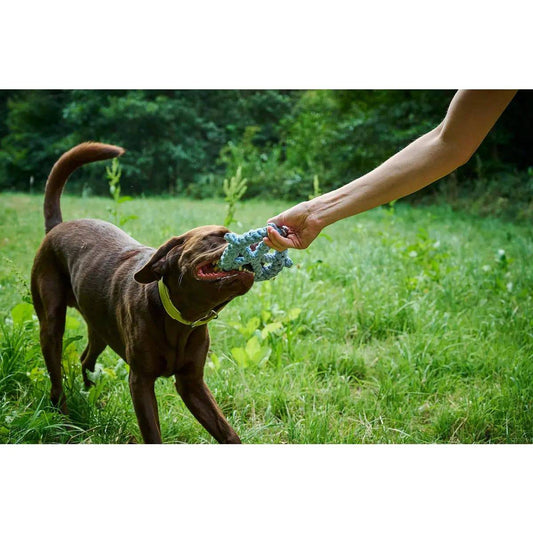 Skipper - Kult-Spielzeug für Hunde LABONI