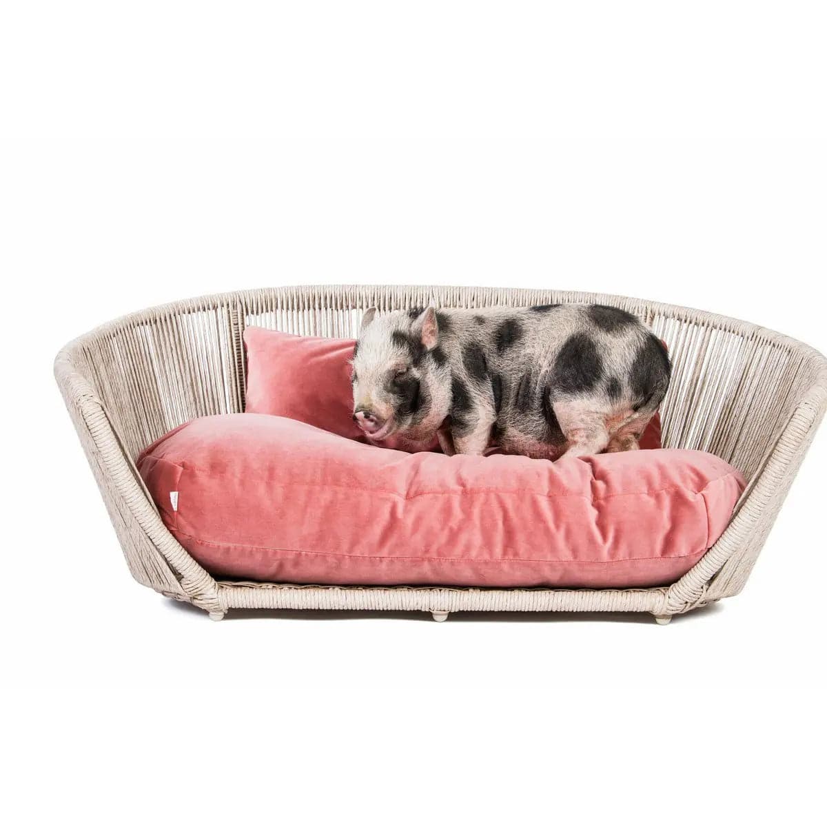 VOGUE - Design-Hundebett OXFORD LABONI