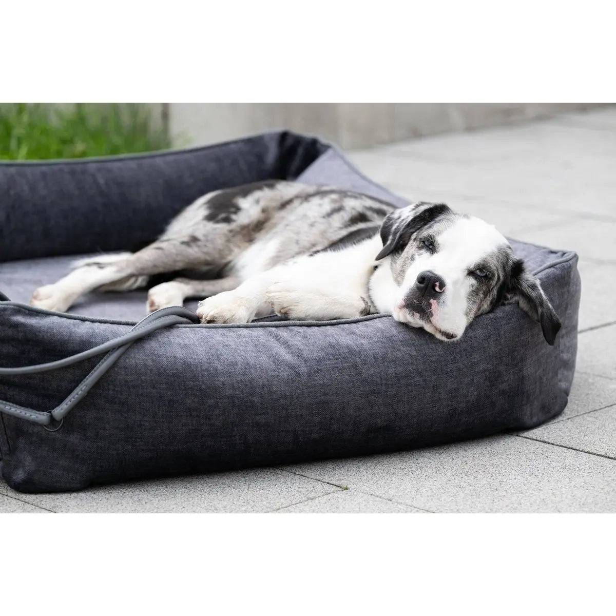 ORTHO Hundebett - GLAM GRAPHITE LABONI