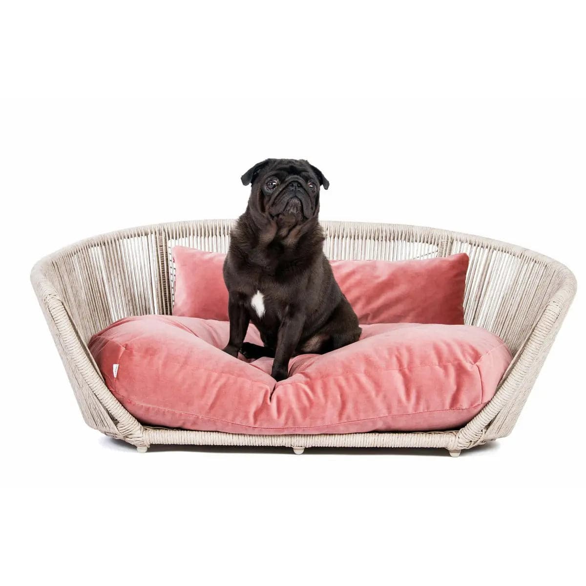 VOGUE - Design-Hundebett OXFORD LABONI