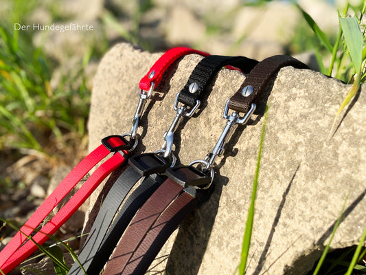 Doppel-Schleppleine FERNWEH aus BioThane®/POP - Band Der Hundegefährte