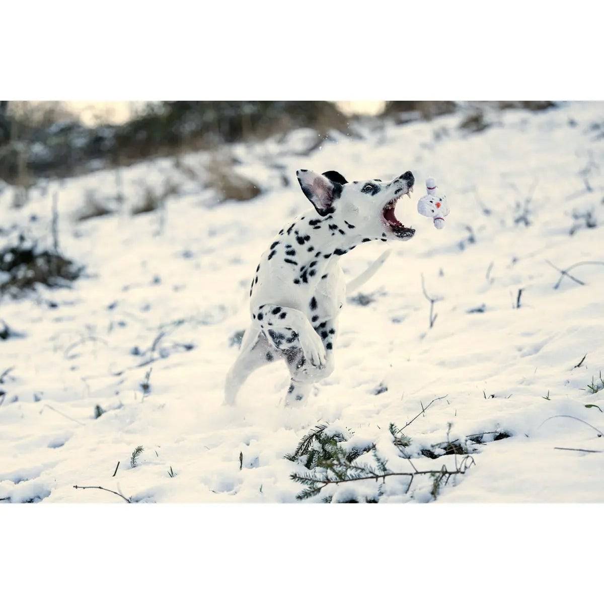 Shawn der Schneemann - Kult-Spielzeug für Hunde LABONI