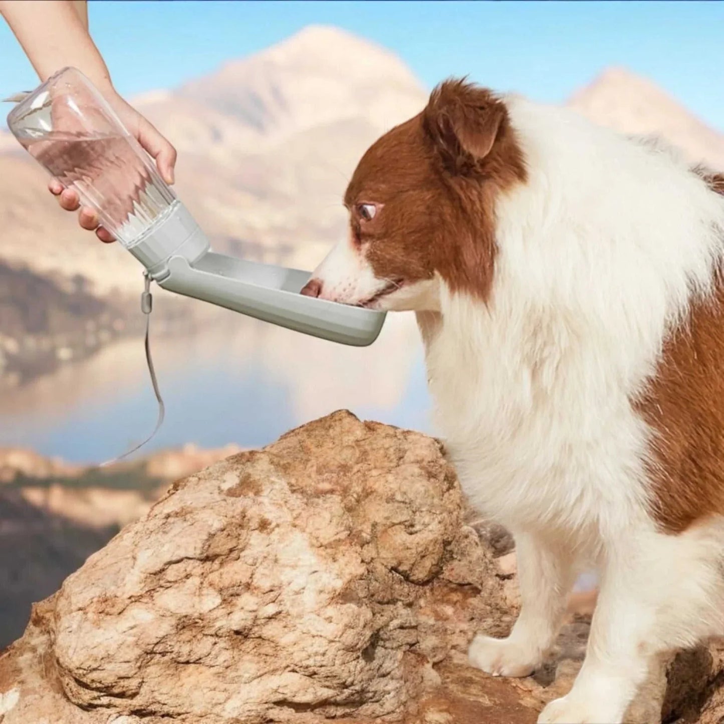 Tragbarer und stabiler und faltbarer 550ml Wasserspender für unterwegs Benny Burton