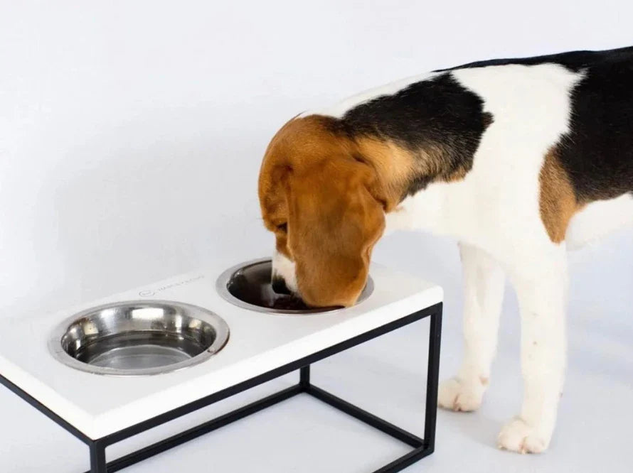 LUNCH BAR Hundenapf / Holz Napfständer mit zwei Edelstahlnäpfen für kleine Hunde / schwarzer Metallrahmen HARLEY & CHO