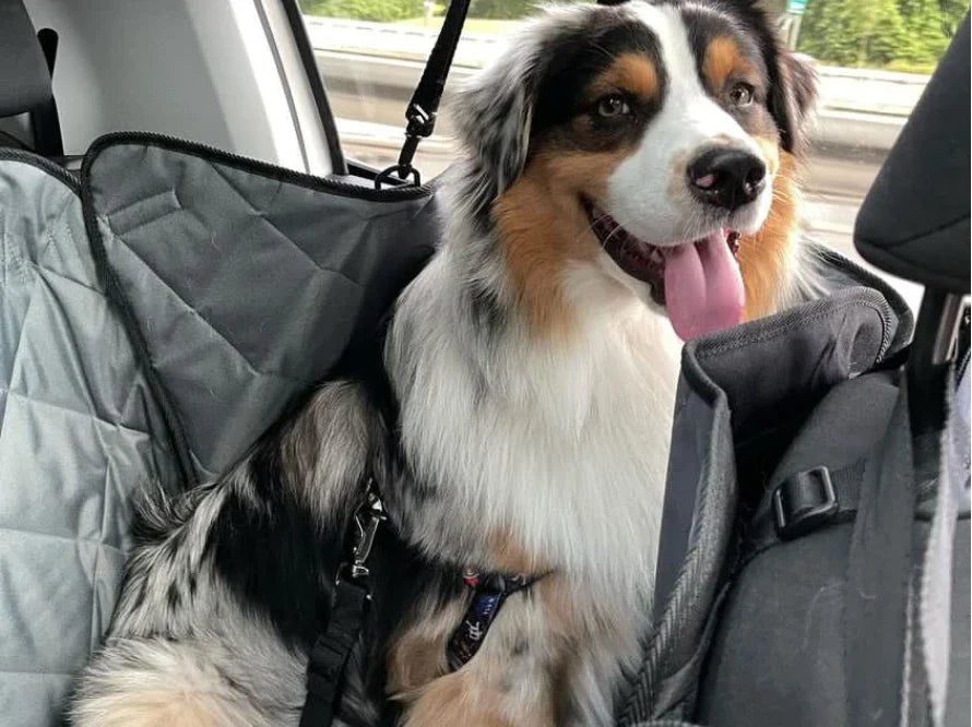 Auto-Hundehängematte Saver Braun für einen Sitz HARLEY & CHO