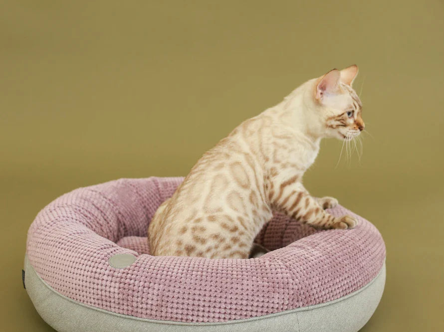 BAGEL Katzenbett aus Möbelcord HARLEY & CHO