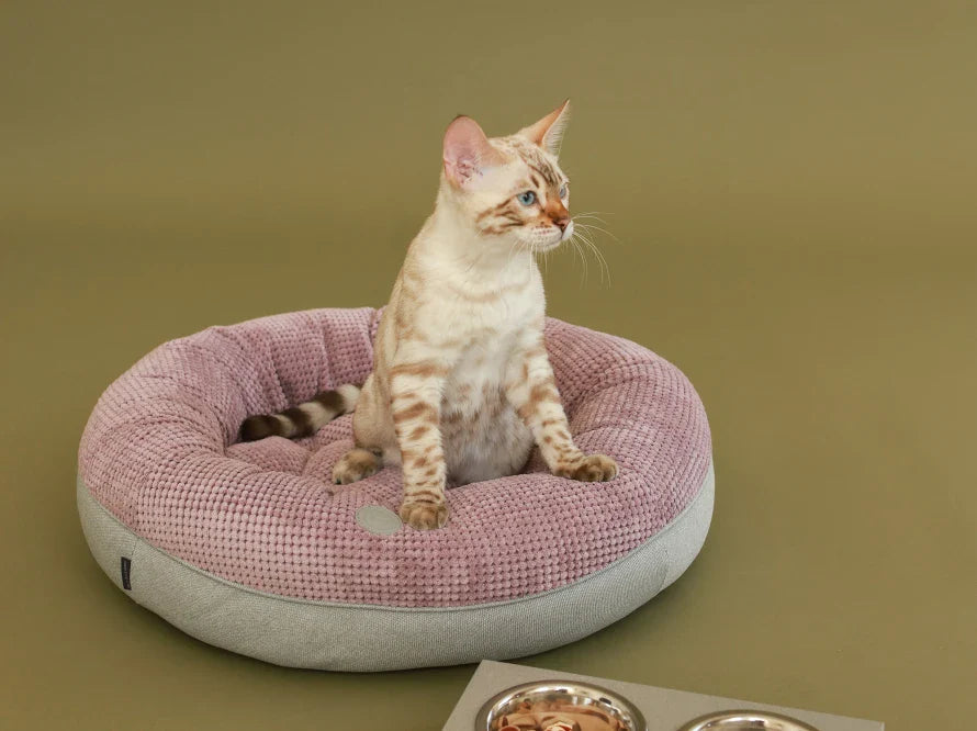 BAGEL Katzenbett aus Möbelcord HARLEY & CHO