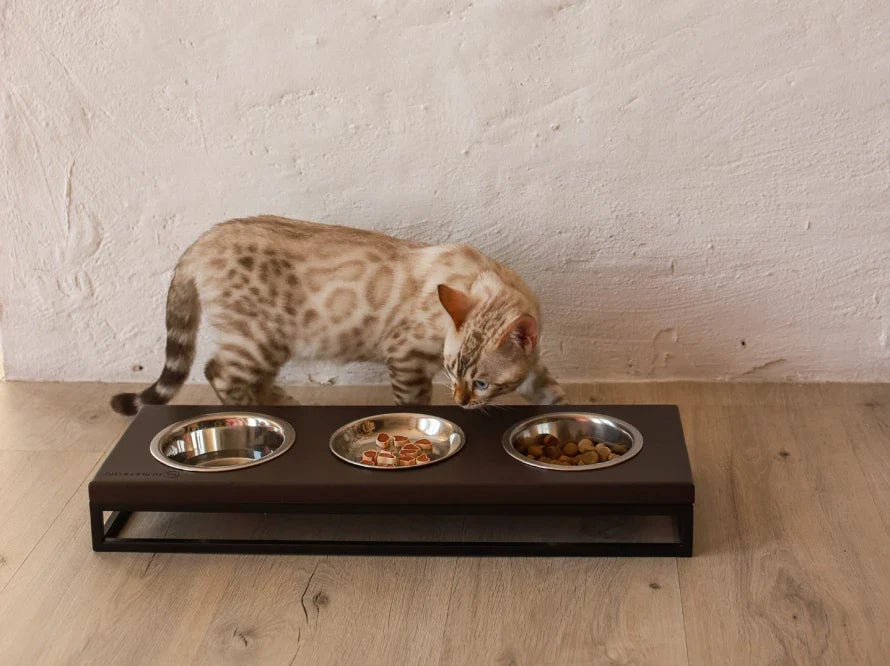 LUNCH BAR Katzennapf / Holz Napfständer mit drei Edelstahlnäpfen für Katzen / schwarzer Metallrahmen HARLEY & CHO