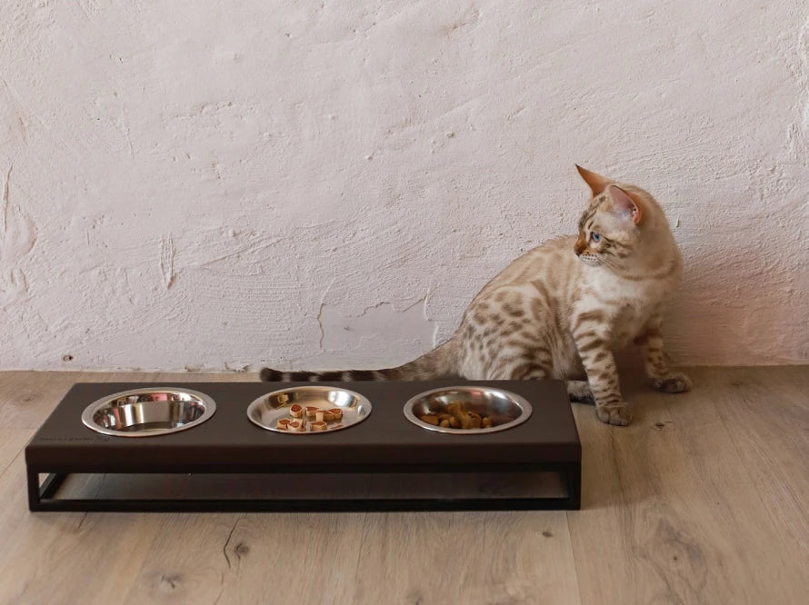 LUNCH BAR Katzennapf / Holz Napfständer mit drei Edelstahlnäpfen für Katzen / schwarzer Metallrahmen HARLEY & CHO