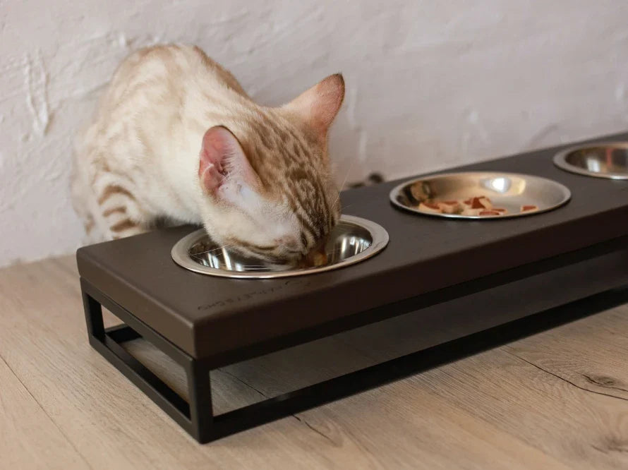 LUNCH BAR Katzennapf / Holz Napfständer mit drei Edelstahlnäpfen für Katzen / schwarzer Metallrahmen HARLEY & CHO