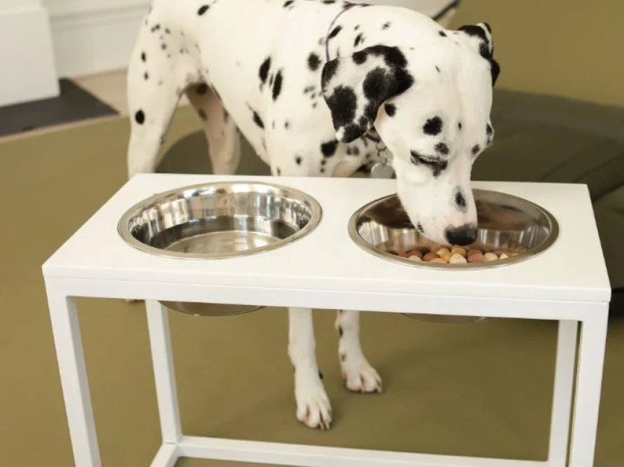 DINNER Hundenapf / Kunststein Napfständer mit zwei Edelstahlnäpfen für große und riesige Hunde / weißer Metallrahmen HARLEY & CHO