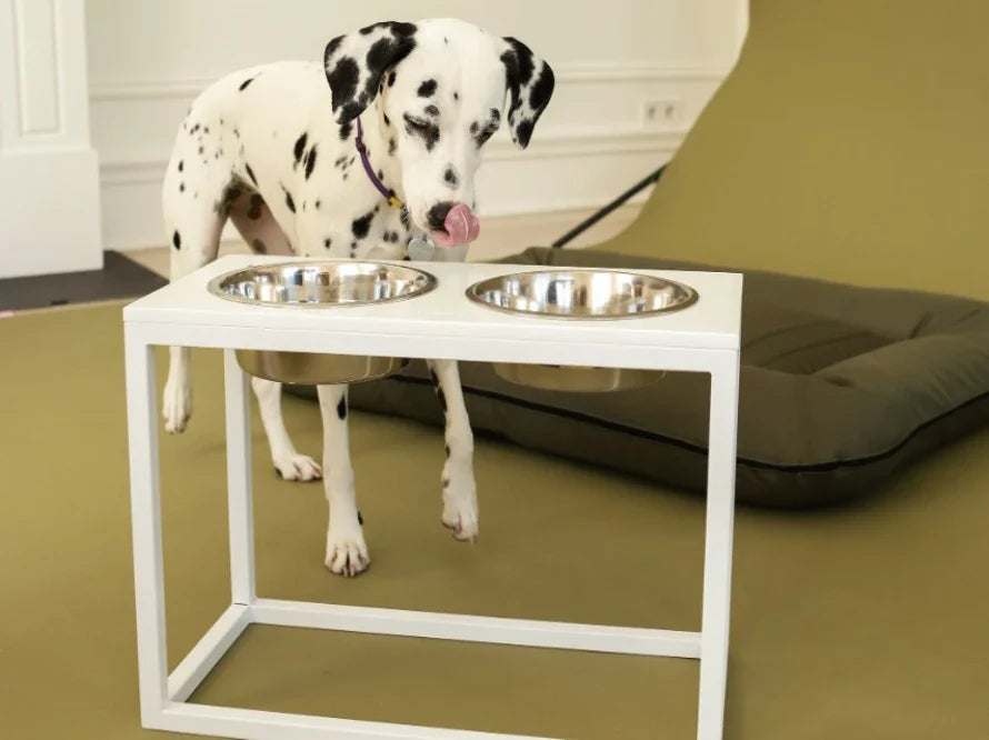 DINNER Hundenapf / Kunststein Napfständer mit zwei Edelstahlnäpfen für große und riesige Hunde / weißer Metallrahmen HARLEY & CHO