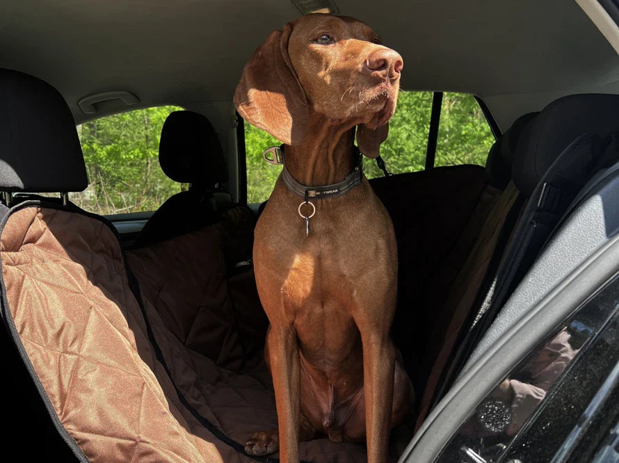 Auto-Hundehängematte Saver Braun - Transformer HARLEY & CHO