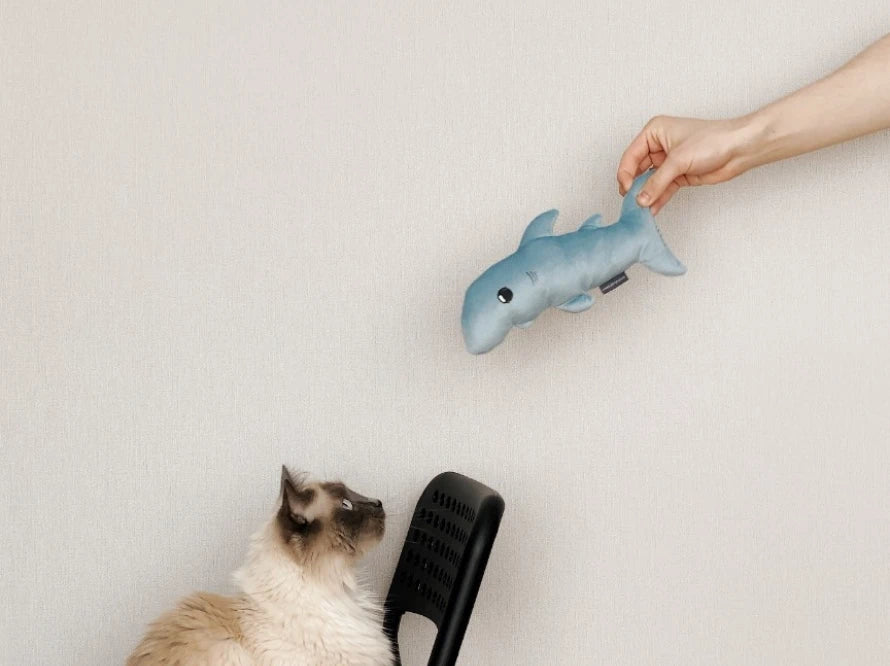 BABY SHARK Katzenspielzeug / interaktives Plüschtier / sanftes Rascheln HARLEY & CHO