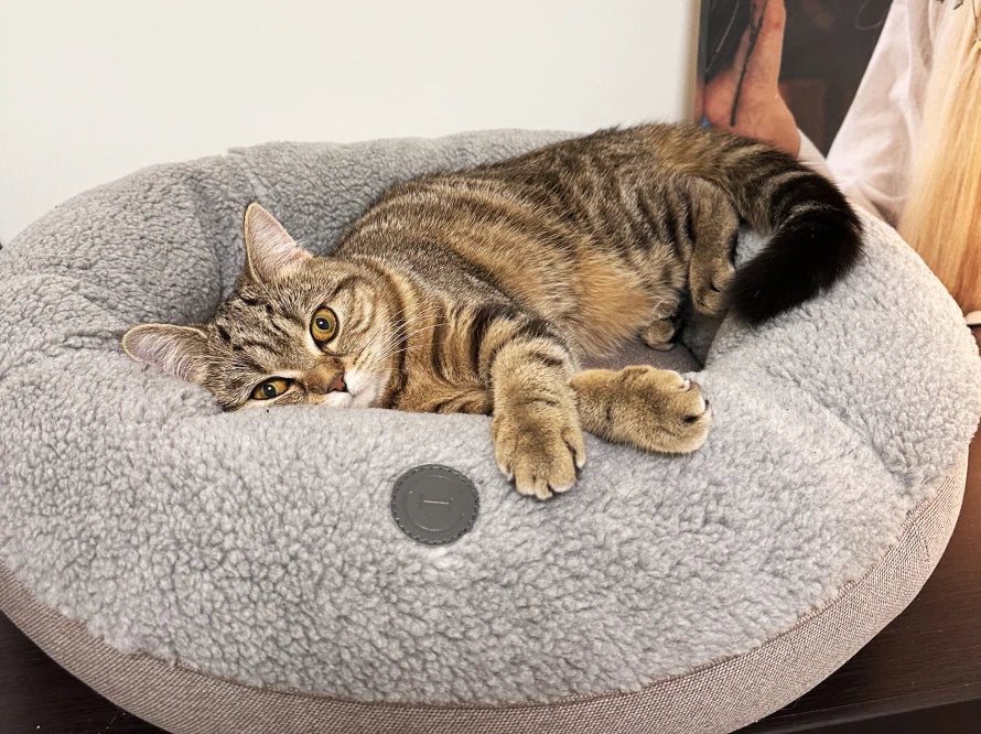 BAGEL FUR Katzenbett aus Kunstfell / Möbelstoff HARLEY & CHO