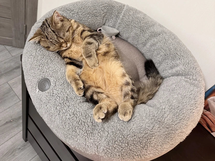 BAGEL FUR Katzenbett aus Kunstfell / Möbelstoff HARLEY & CHO