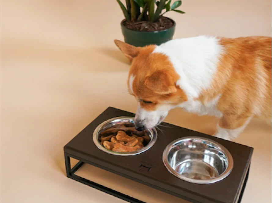 LUNCH BAR Hundenapf / Holz Napfständer mit zwei Edelstahlnäpfen für kleine Hunde / schwarzer Metallrahmen HARLEY & CHO