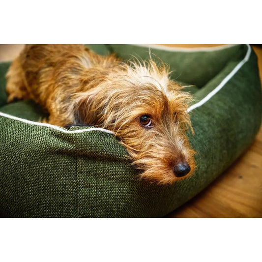 ORTHO Hundebett - ECO OLIVE LABONI