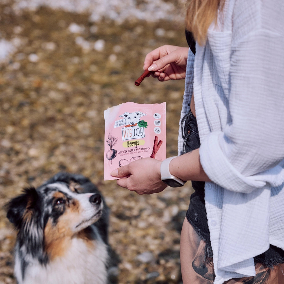VEGDOG Beevys - Vegane Jackpot-Leckerlis für Hunde - Pawdora