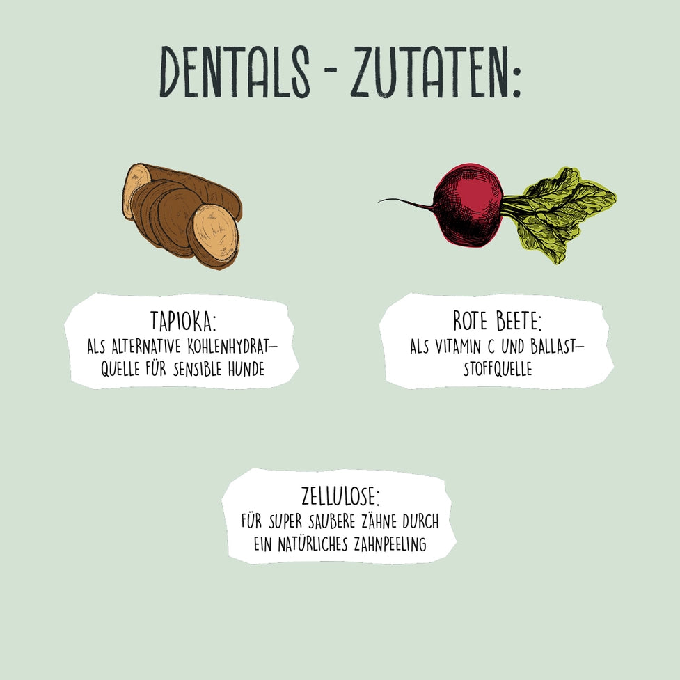 VEGDOG Dentals XL - Vegane Jackpot-Leckerlis für Hunde - Pawdora
