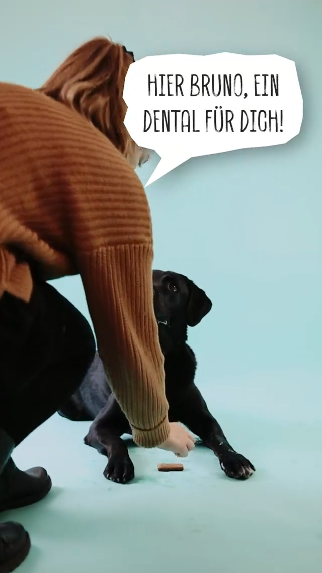 VEGDOG Dentals XL - Vegane Jackpot-Leckerlis für Hunde - Pawdora