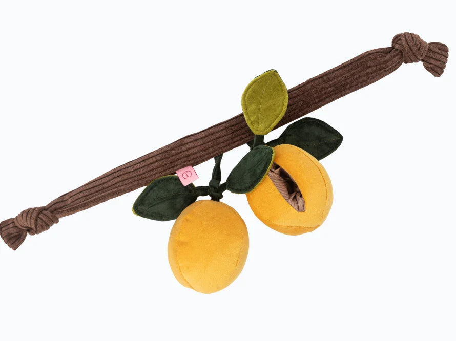 APRIKOSEN Hundespielzeug / Nasenarbeit für Hunde / Training für das Gehirn, den Geruchssinn und die Feinmotorik / interaktives Plüschtier / sanftes Rascheln HARLEY & CHO