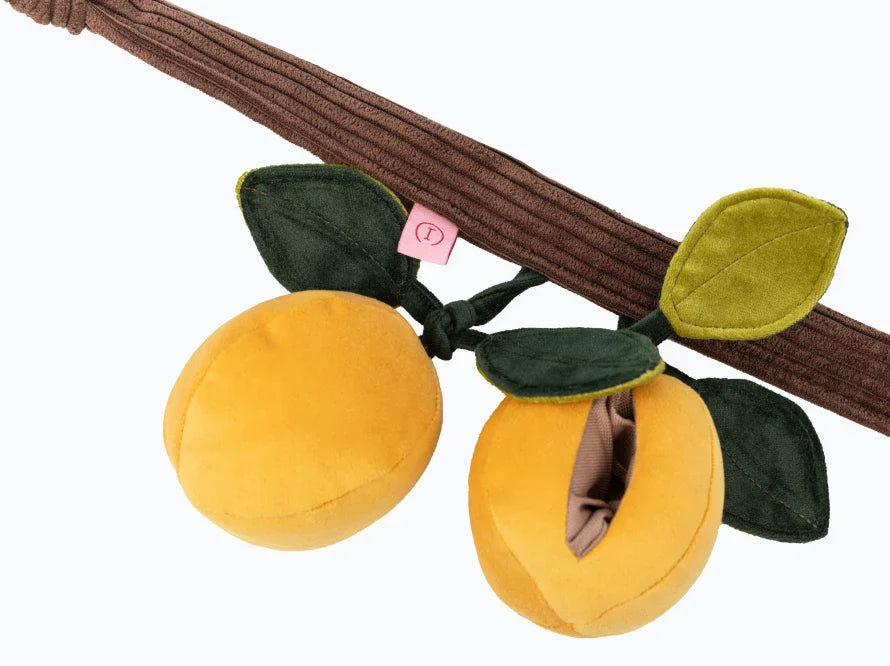 APRIKOSEN Hundespielzeug / Nasenarbeit für Hunde / Training für das Gehirn, den Geruchssinn und die Feinmotorik / interaktives Plüschtier / sanftes Rascheln HARLEY & CHO