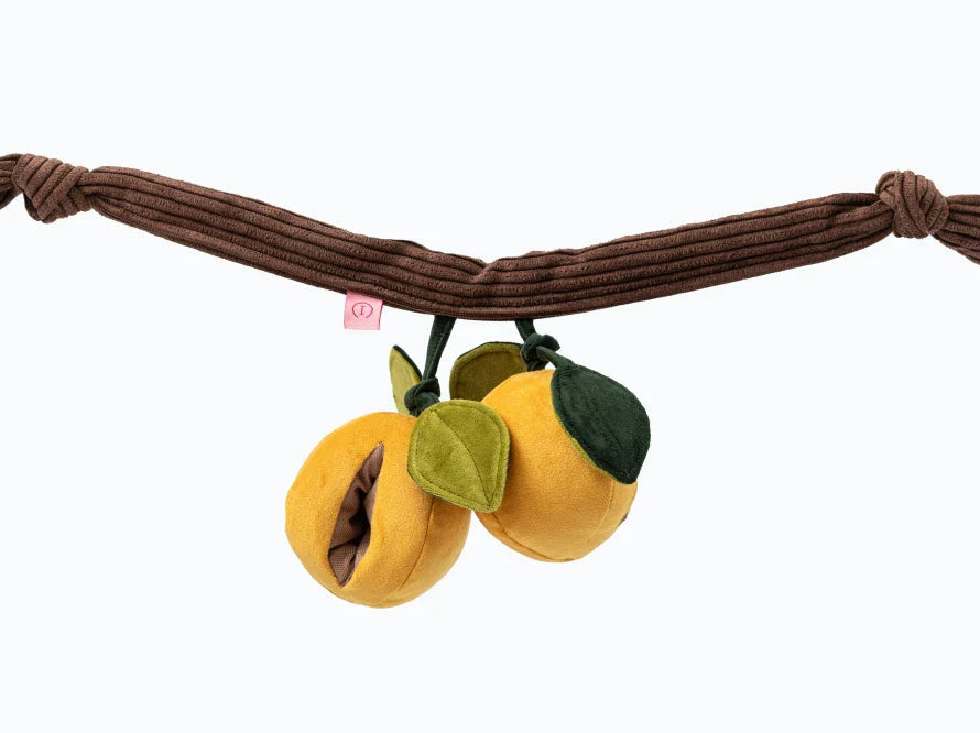 APRIKOSEN Hundespielzeug / Nasenarbeit für Hunde / Training für das Gehirn, den Geruchssinn und die Feinmotorik / interaktives Plüschtier / sanftes Rascheln HARLEY & CHO