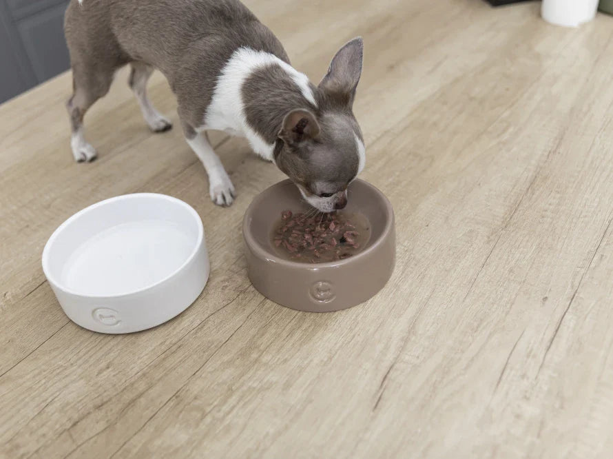 HUNDENAPF aus Keramik / Kugelboden / Handgefertigt HARLEY & CHO