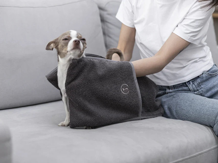 FLUFFY Hundehandtuch mit Taschen für kleine und mittelgroße Hunde / Universalgröße HARLEY & CHO