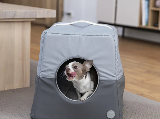 CABRIO Hundehütte für den Innenbereich / warmes Hundehaus aus Vlies und Möbelvelour für kleine Hunde / Hundebett Transformer HARLEY & CHO