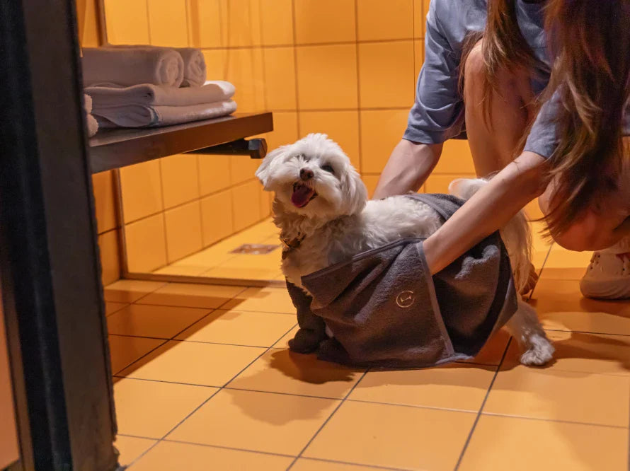FLUFFY Hundehandtuch mit Taschen für kleine und mittelgroße Hunde / Universalgröße HARLEY & CHO