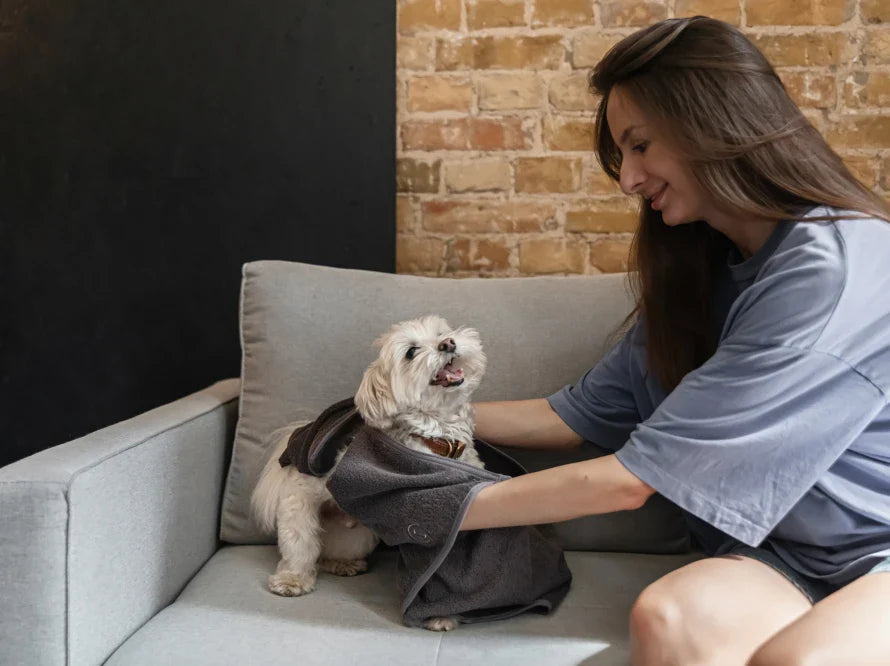 FLUFFY Hundehandtuch mit Taschen für kleine und mittelgroße Hunde / Universalgröße HARLEY & CHO